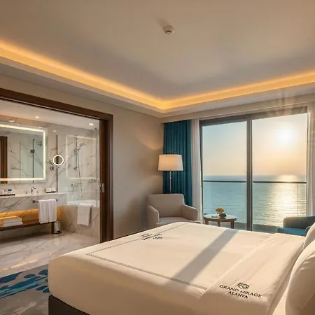 Grand Mirage & シダ